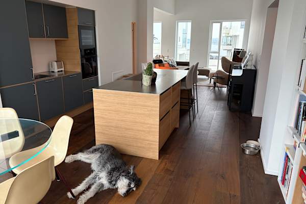 House sit in Copenhagen, Denmark