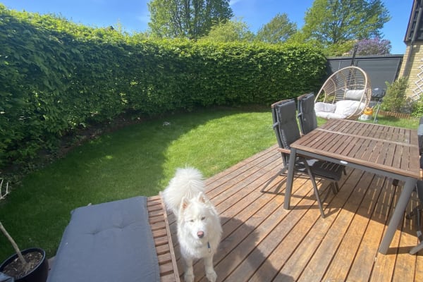 House sit in Hørsholm, Denmark