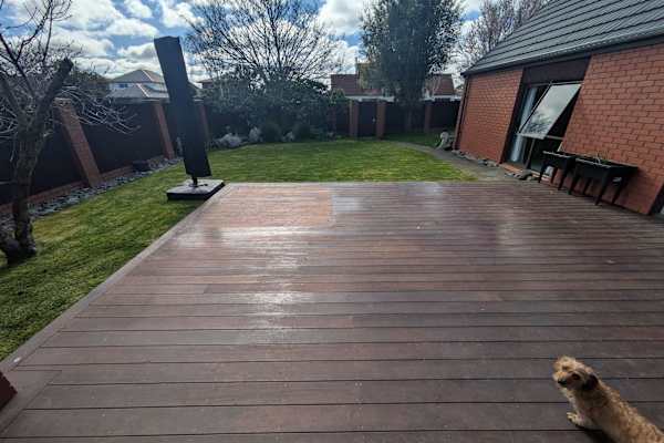 House sit in Christchurch, New Zealand