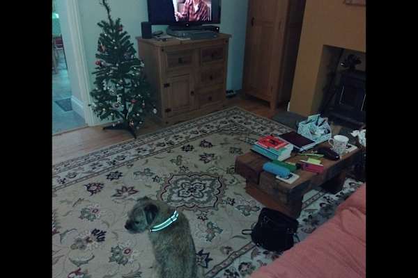 House sit in Oxted, United Kingdom