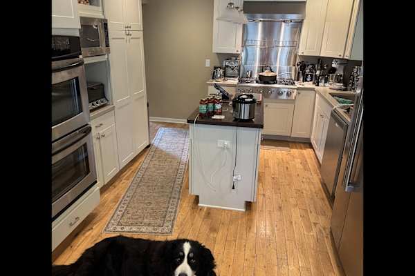 House sit in Saint Anthony, MN, US
