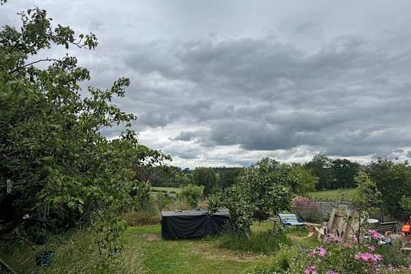 House sit in Oxford, United Kingdom