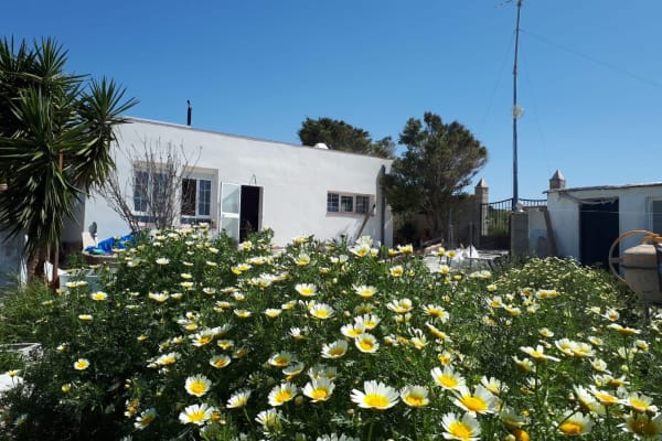 House sit in Chiclana de la Frontera, Spain