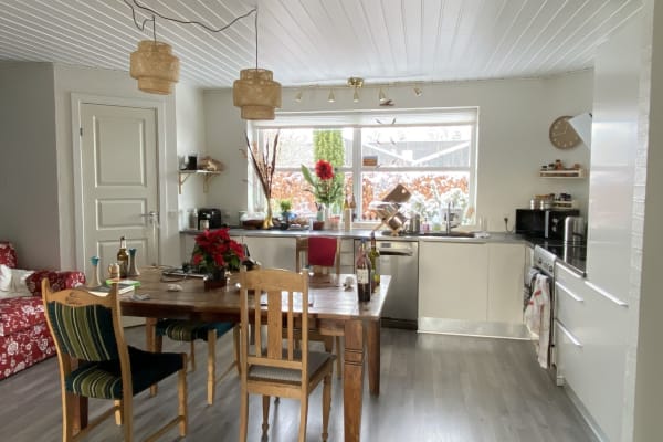 House sit in Jelling, Denmark