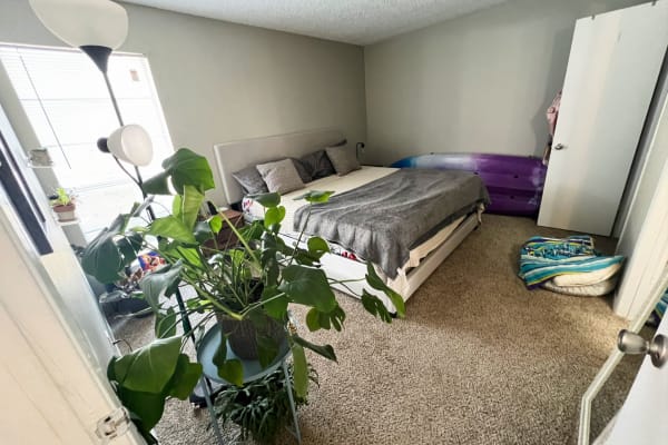 House sit in Irving, TX, US