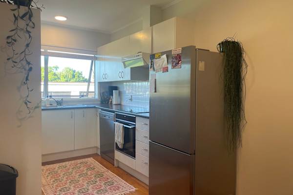 House sit in Auckland, New Zealand