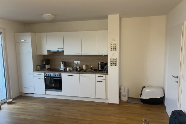 House sit in Vienna, Austria