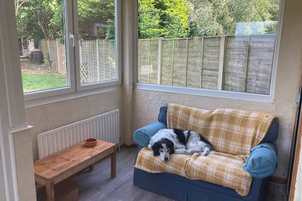 House sit in Norwich, United Kingdom