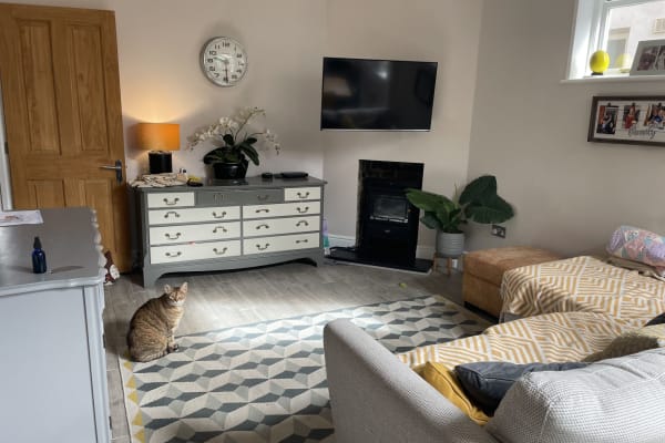 House sit in Walton-on-Thames, United Kingdom