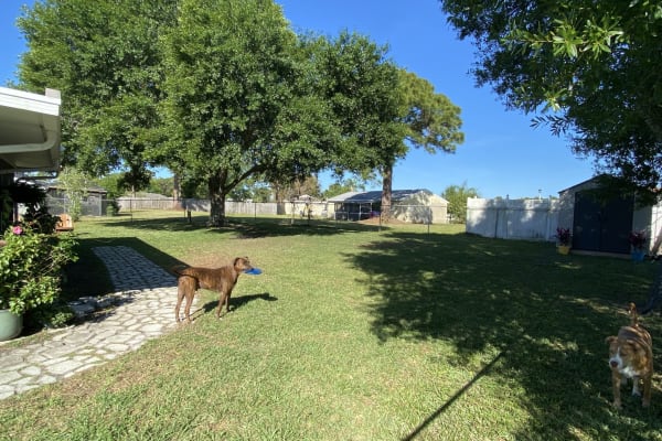 House sit in North Port, FL, US