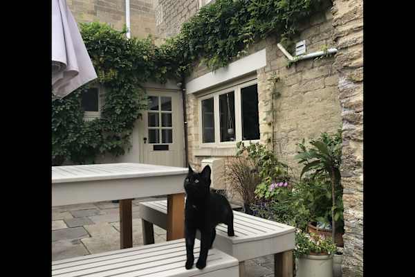 House sit in Bradford-on-Avon, United Kingdom