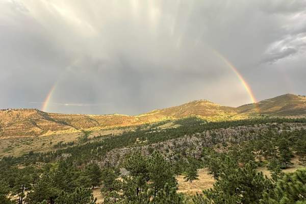 House sit in Lyons, CO, US