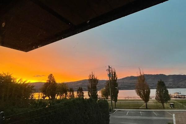 House sit in West Kelowna, BC, Canada