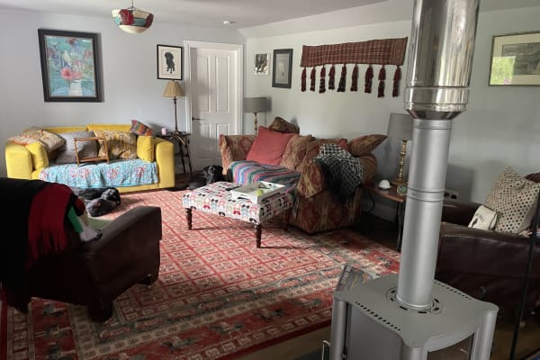 House sit in Newton Stewart, United Kingdom