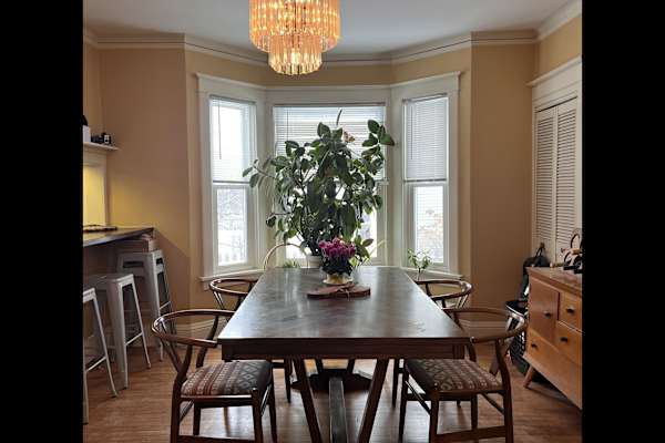 House sit in Madison, WI, US