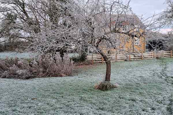 House sit in Misterton, United Kingdom