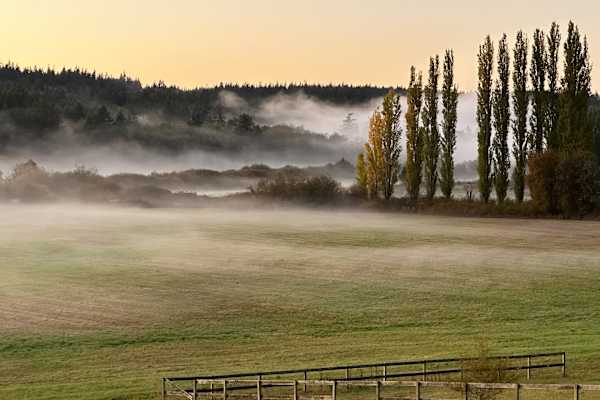 House sit in Langley, WA, US