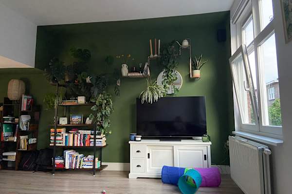 House sit in Scheveningen, Netherlands
