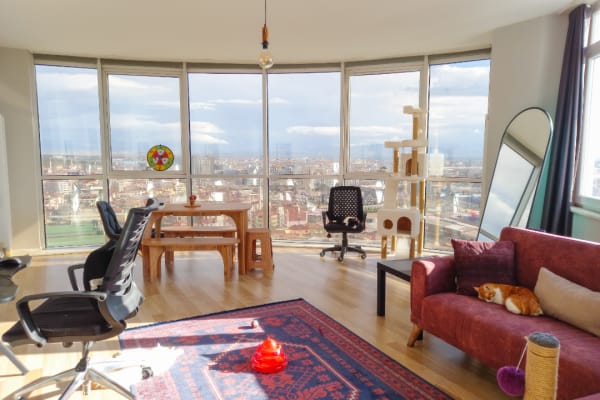 House sit in İstanbul, Turkey
