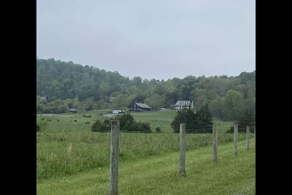 House sit in Culpeper, VA, US