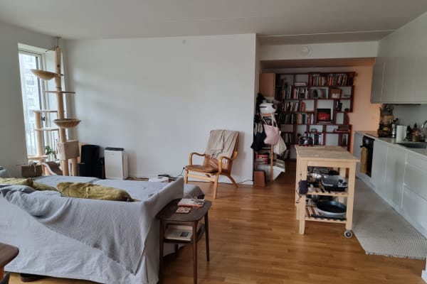 House sit in Copenhagen, Denmark