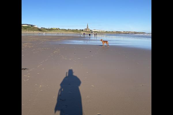 House sit in Newcastle upon Tyne, United Kingdom