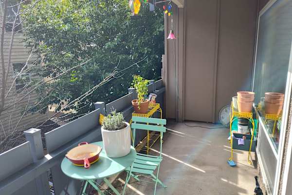 House sit in Seattle, WA, US