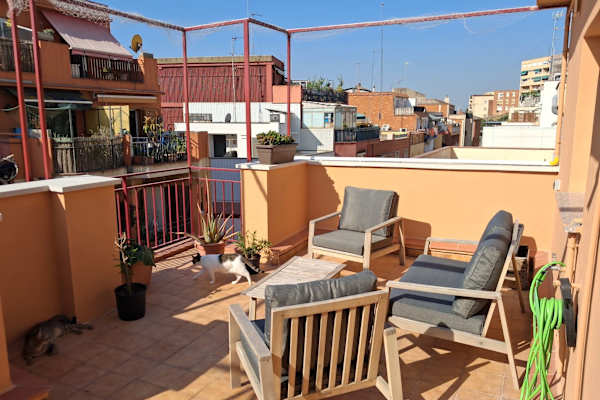 House sit in Barcelona, Spain