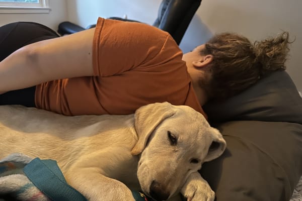 House sit in Sacramento, CA, US