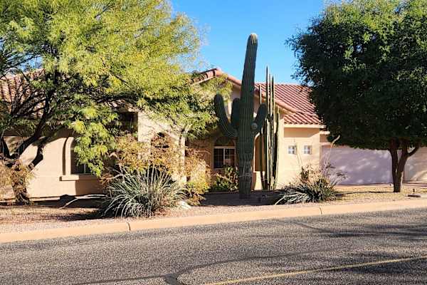 House sit in Tucson, AZ, US