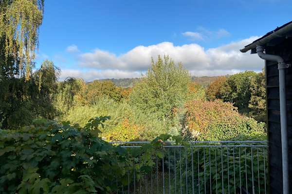 House sit in Petersfield, United Kingdom