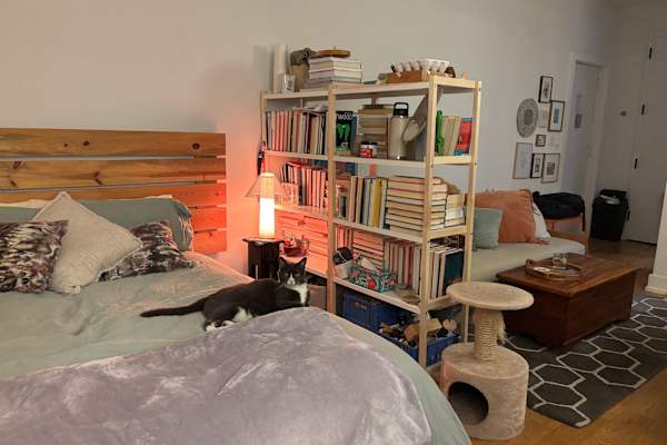 House sit in Brooklyn, NY, US