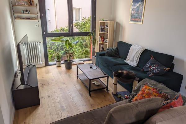 House sit in Toulouse, France