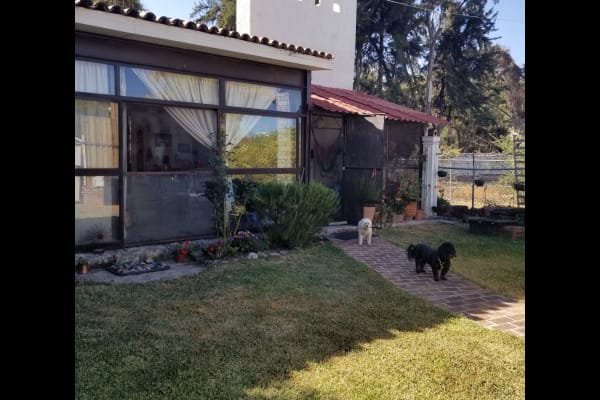 House sit in San Antonio Tlayacapan, Mexico