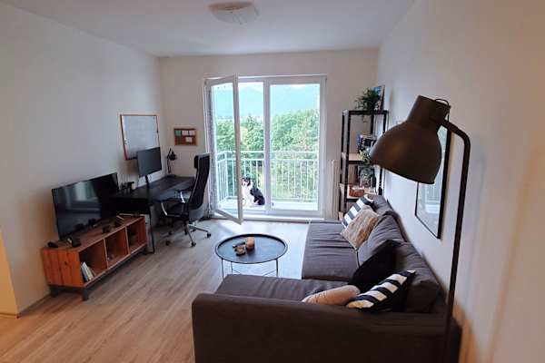House sit in Martin, Slovakia