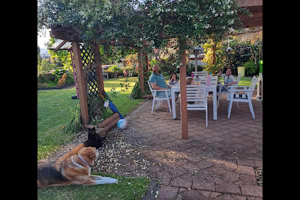 House sit in Te Puke, New Zealand