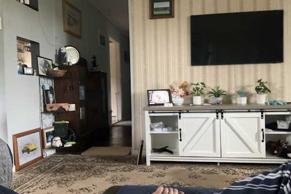 House sit in South Grafton, NSW, Australia