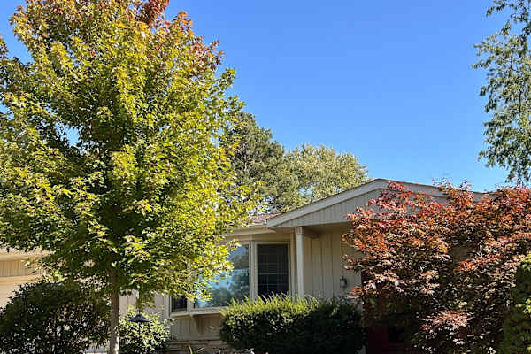House sit in Madison, WI, US