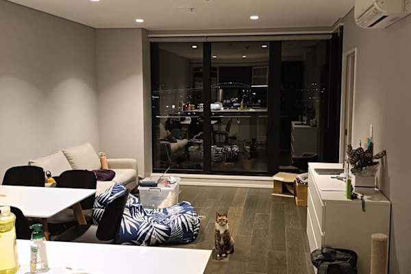House sit in Auckland, New Zealand