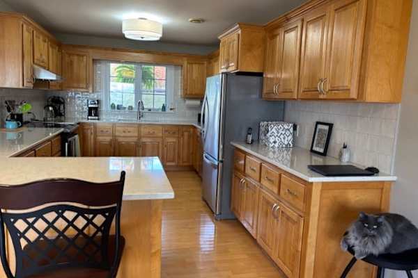 House sit in Douglas Harbour, NB, Canada