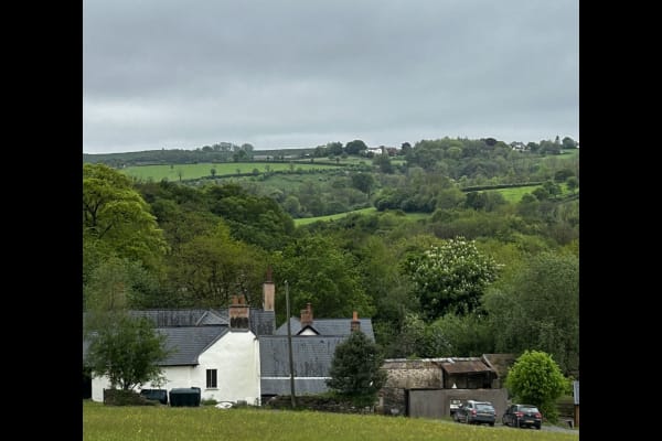 House sit in Wiveliscombe, United Kingdom