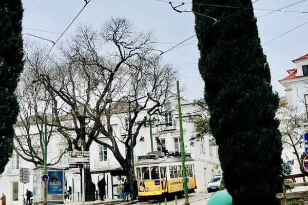 House sit in Lisbon, Portugal