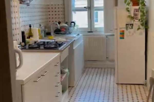 House sit in Lyon, France