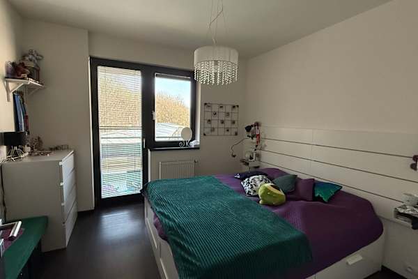 House sit in Prague, Czech Republic