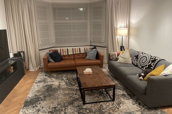 House sit in Amsterdam, Netherlands