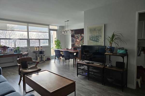 House sit in Toronto, ON, Canada