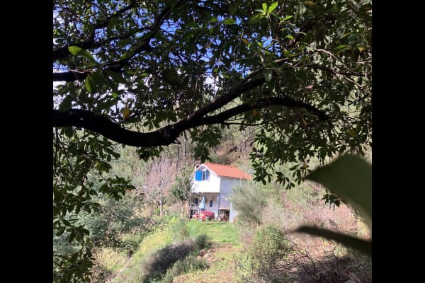 House sit in Sazes da Beira, Portugal