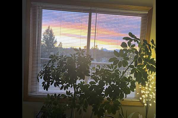 House sit in Redmond, OR, US