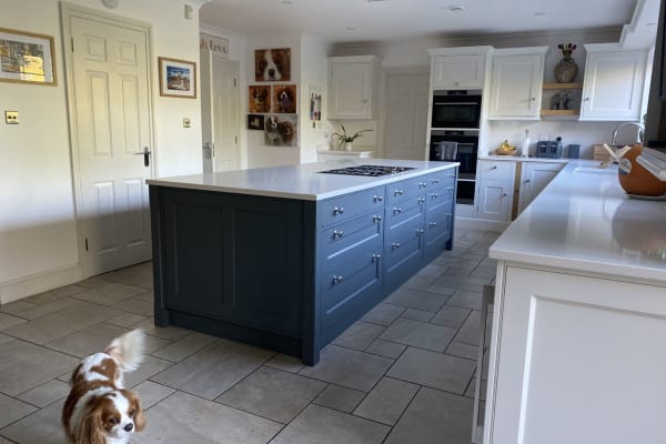 House sit in Bromley, United Kingdom