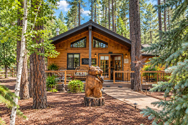 House sit in Pinetop-Lakeside, AZ, US